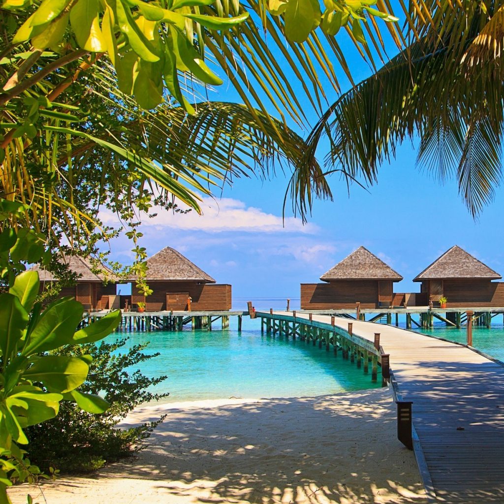 maldivi, meden mesec